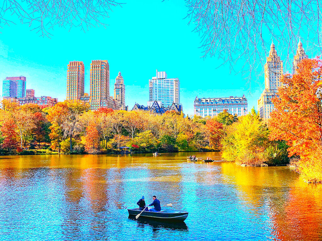 Activités Central Park New York